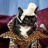 Profilbild von Changoleon 2.0