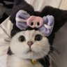𝗳𝗼𝗿𝗳𝗼𝗿🎲 | 𝘀𝗹𝗼𝘄✩₊˚.⋆☾⋆⁺₊✧'s profile picture