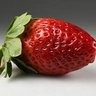 Profilbild von Strawberry
