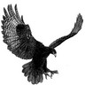 Profilbild von Kartal Kondu