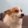 Tom's profile picture
