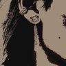 melia📔's profile picture