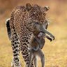 Фото профиля Pedro Quispe