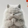 ruler10086's profile picture