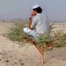 ابوسلطان profil fotoğrafı