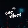 Фото профиля Djceevibes