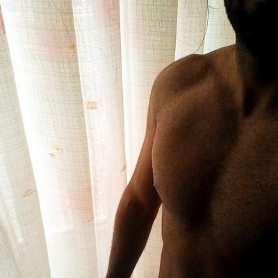 NavidBull's profile picture