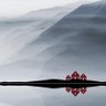시조아 profil fotoğrafı