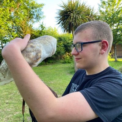 alexs_journey's profile picture