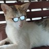 Anushka's profile picture
