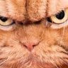Фото профиля Pissedoffcat