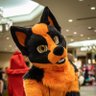 Suka Vulpe's profile picture