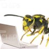 actual georgia tech student 的头像