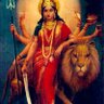 Фото профиля Nandini