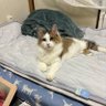 ひかる's profile picture