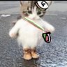 Profilbild von Kantholz