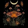 aeterea's profile picture