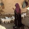  علياء 的头像
