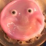Mendo5an's profile picture
