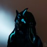 Lucky's profile picture