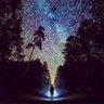 Euphoriatribe's profile picture