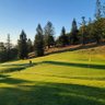Cali golfer's profile picture