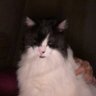 noni's profile picture