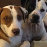 kelly leake1279's profile picture