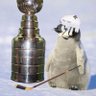 Фото профиля pensacolapenguin