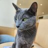 Profilbild von 猫さん