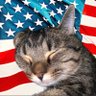 Profilbild von BamaGirl 😏🇺🇸🇺🇸🐘