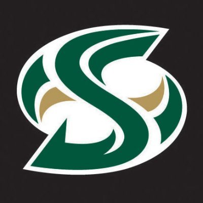 hornetsports's profile picture