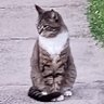 UnVaxxxxed's profile picture
