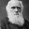 Profilbild von Charles milei