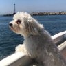 DA's profile picture