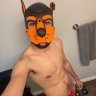 Blaze D. Pup🧡🎮🍁 的头像