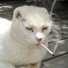 Profilbild von b