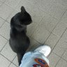 Profilbild von TM161