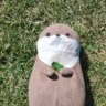 カナぶぅん profil fotoğrafı