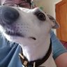 Chris profil fotoğrafı