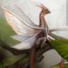 Фото профиля Whtby