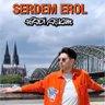 serdo 的头像