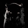 Фото профиля Panther