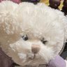 いて座の檸檬's profile picture