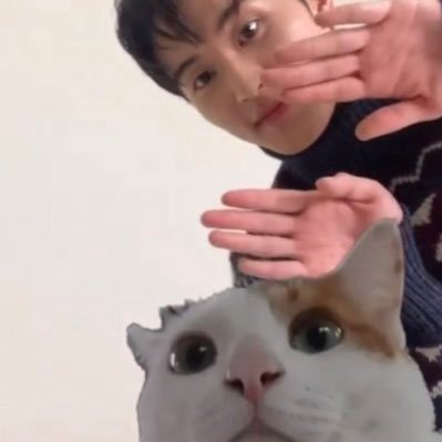 yue's profile picture
