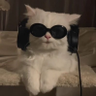 nader's profile picture