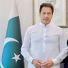 Siddique Muhammad's profile picture