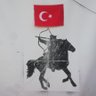 Umurbey🇹🇷's profile picture