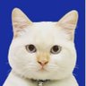 Profilbild von Rhys