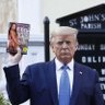 Donald MH Trump's profile picture